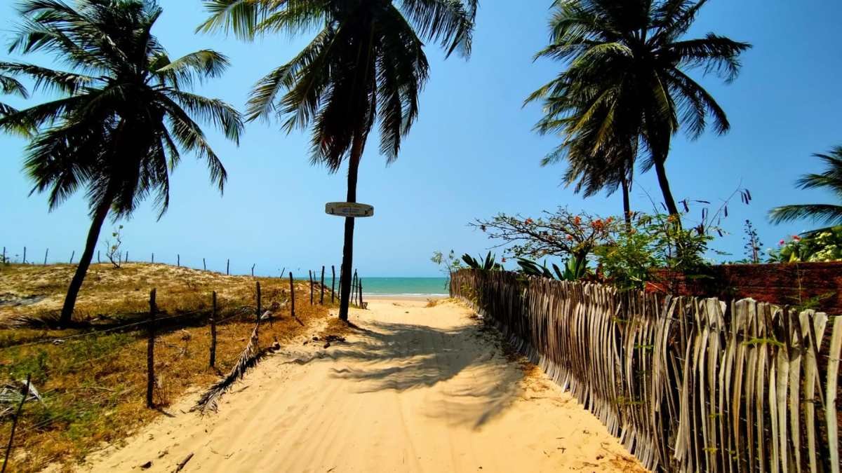 Vista panorâmica do acesso a praia de Icaraizinho de Amontada com coqueirais e turbinas eólicas ao fundo