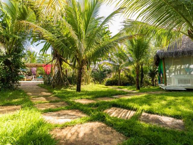 Varanda com vista para coqueirais e ambiente natural